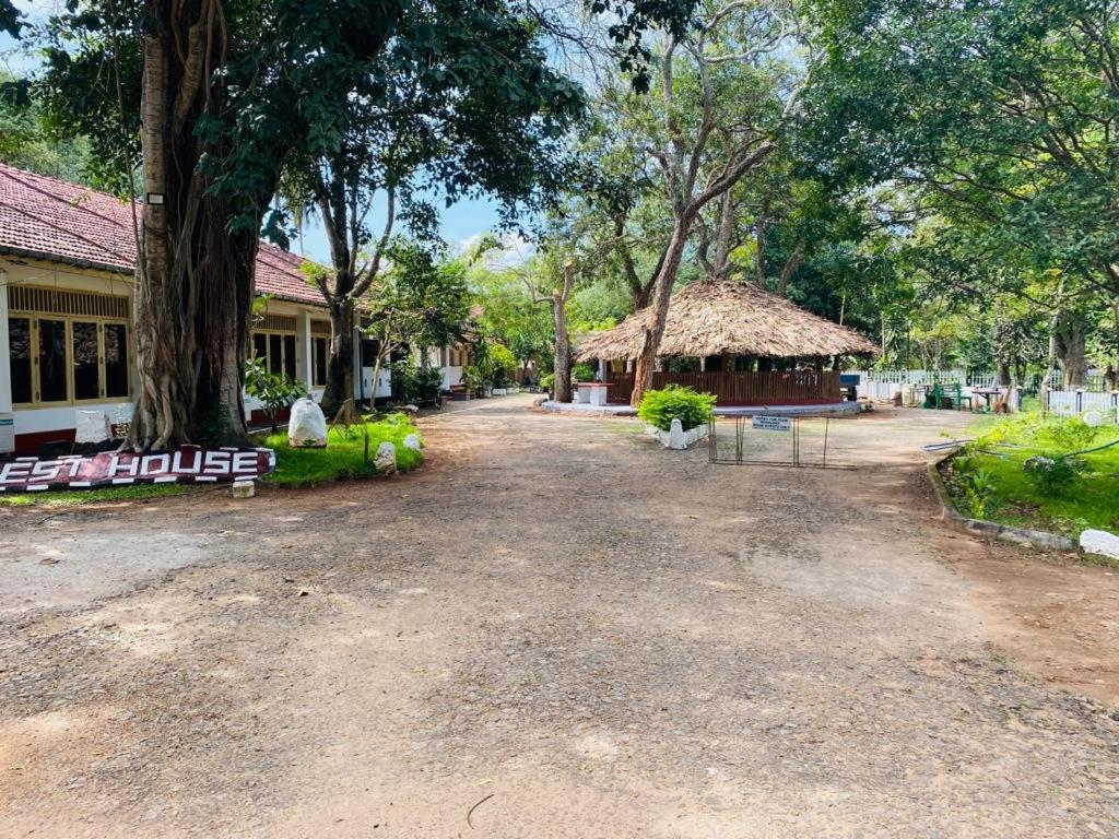 Hotel Resthouse Vavuniya Exterior foto
